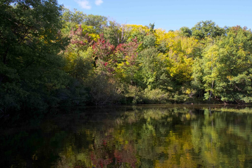 Parc national du Mont-Saint-Bruno - Québec / Crédit photo obligatoire : Cyrille Ardaud - aucune réutilisation commerciale sans autorisation.