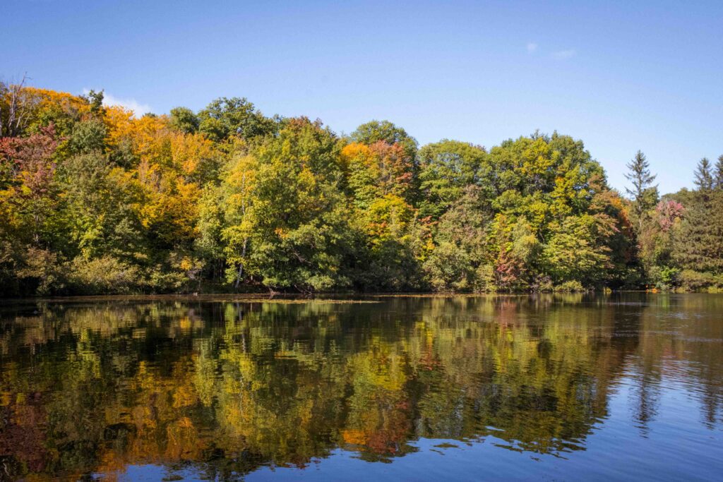 Parc national du Mont-Saint-Bruno - Québec / Crédit photo obligatoire : Cyrille Ardaud - aucune réutilisation commerciale sans autorisation.