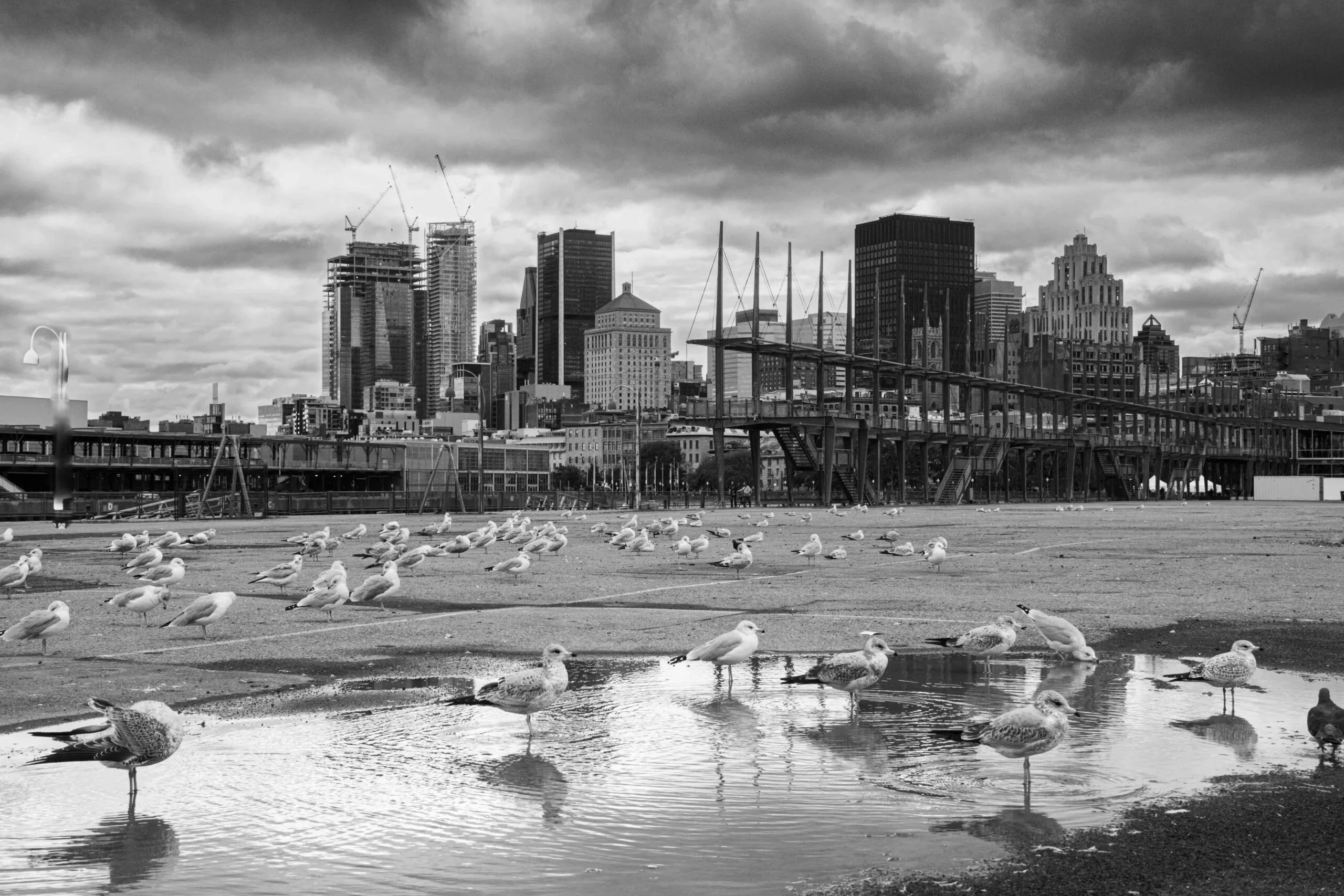 Montréal - Québec / Crédit photo obligatoire : Cyrille Ardaud - aucune réutilisation commerciale sans autorisation.