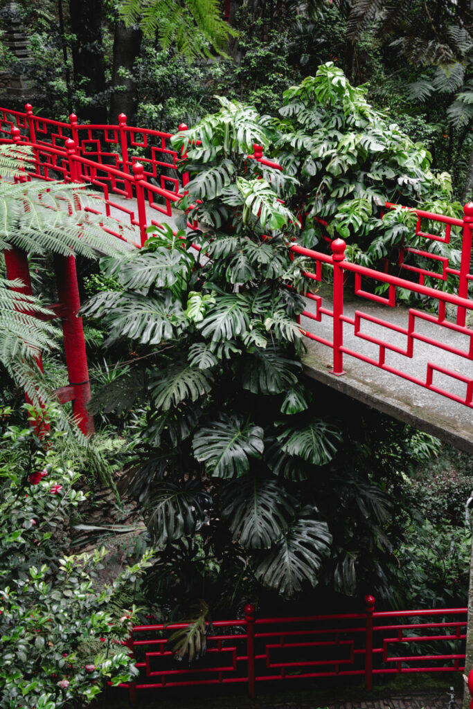 Le jardin tropical de Funchal, à Madère, un incontournable ! Crédit photo obligatoire : Cyrille Ardaud / Est-en-Ouest.fr