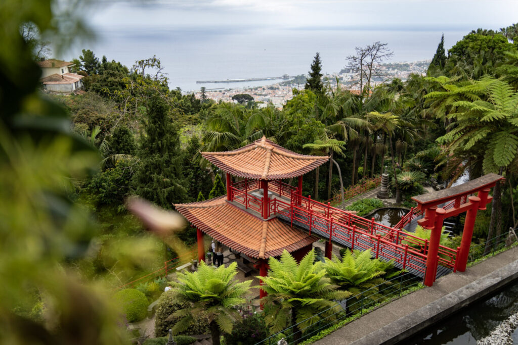 Le jardin tropical de Funchal, à Madère, un incontournable ! Crédit photo obligatoire : Cyrille Ardaud / Est-en-Ouest.fr