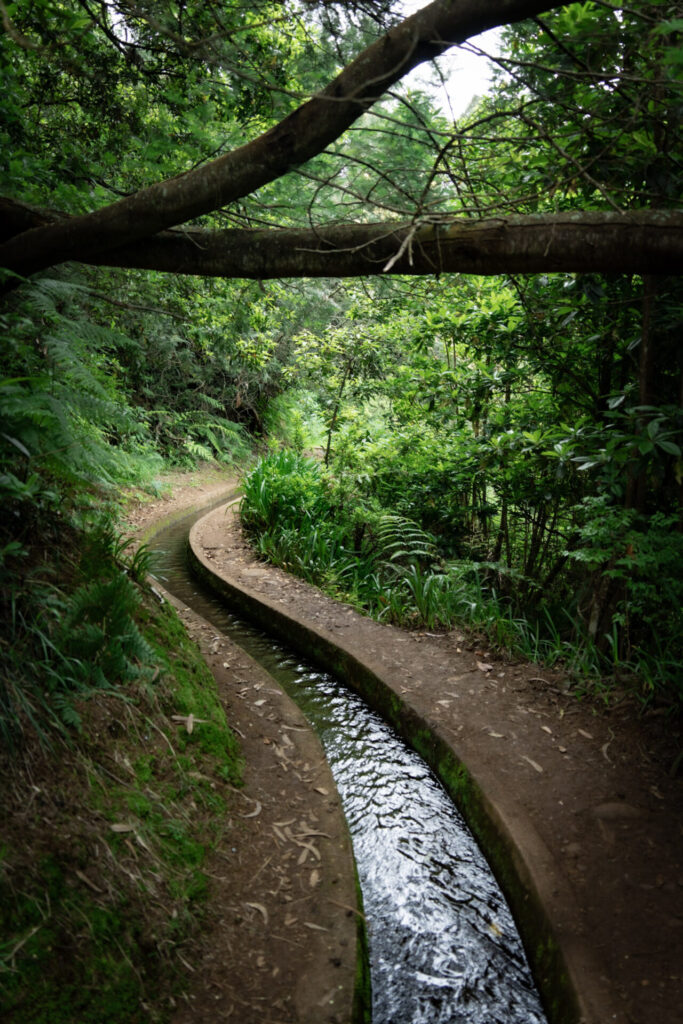 La Levada Do Rei : très facile et belle ! Crédit photo obligatoire : Cyrille Ardaud / Est-en-Ouest.fr