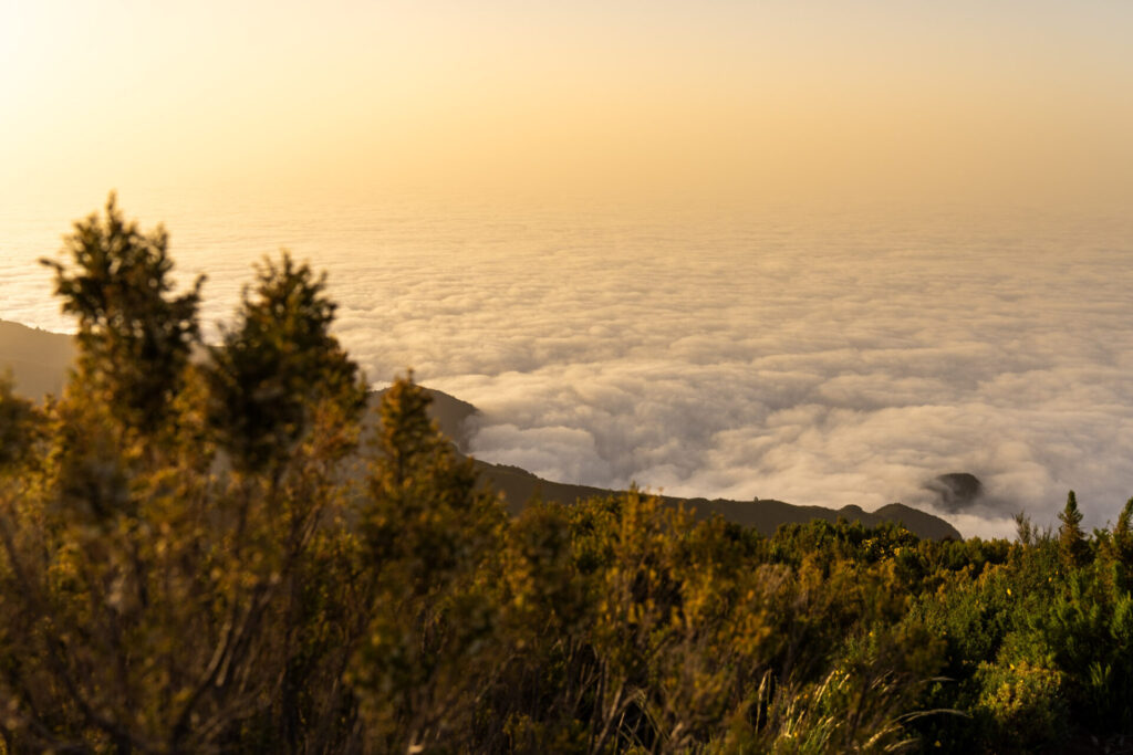 Le Pico Ruivo, un des plus beaux endroits de Madère pour apprécier le coucher du soleil. Crédit photo obligatoire : Cyrille Ardaud / Est-en-Ouest.fr