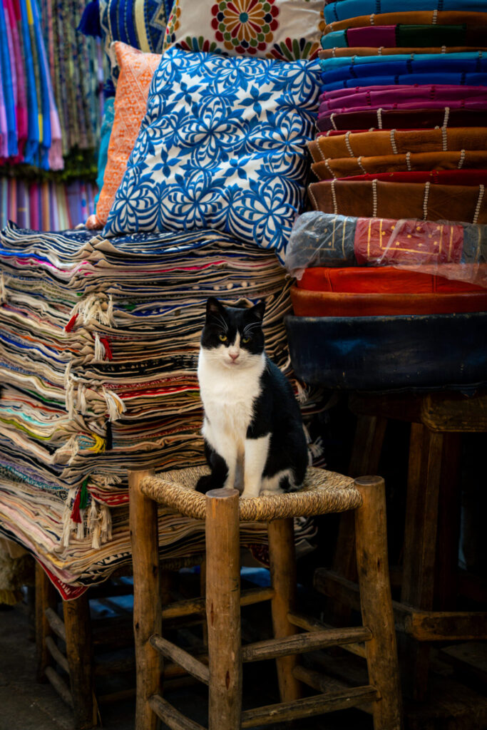 Cyrille Ardaud Est en Ouest blog voyage organisation maroc marrakech agafay desert semaine vacances voyage week end voir ()