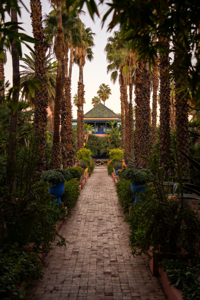 Cyrille Ardaud Est en Ouest blog voyage organisation maroc marrakech agafay desert semaine vacances voyage week end voir ()