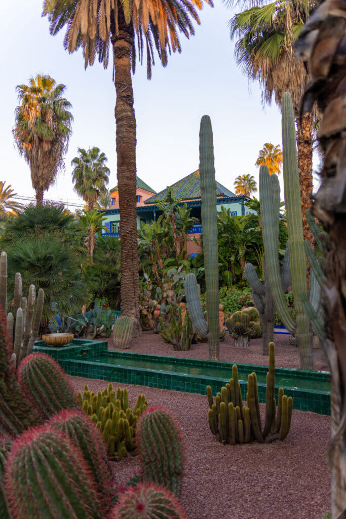 Cyrille Ardaud Est en Ouest blog voyage organisation maroc marrakech agafay desert semaine vacances voyage week end voir ()