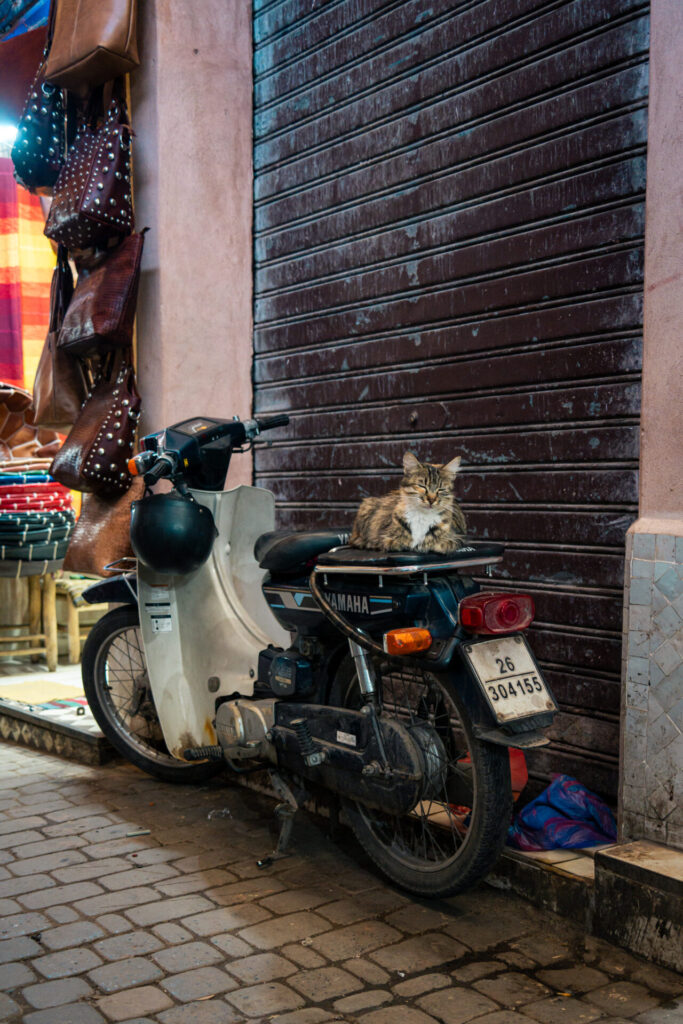 Cyrille Ardaud Est en Ouest blog voyage organisation maroc marrakech agafay desert semaine vacances voyage week end voir ()