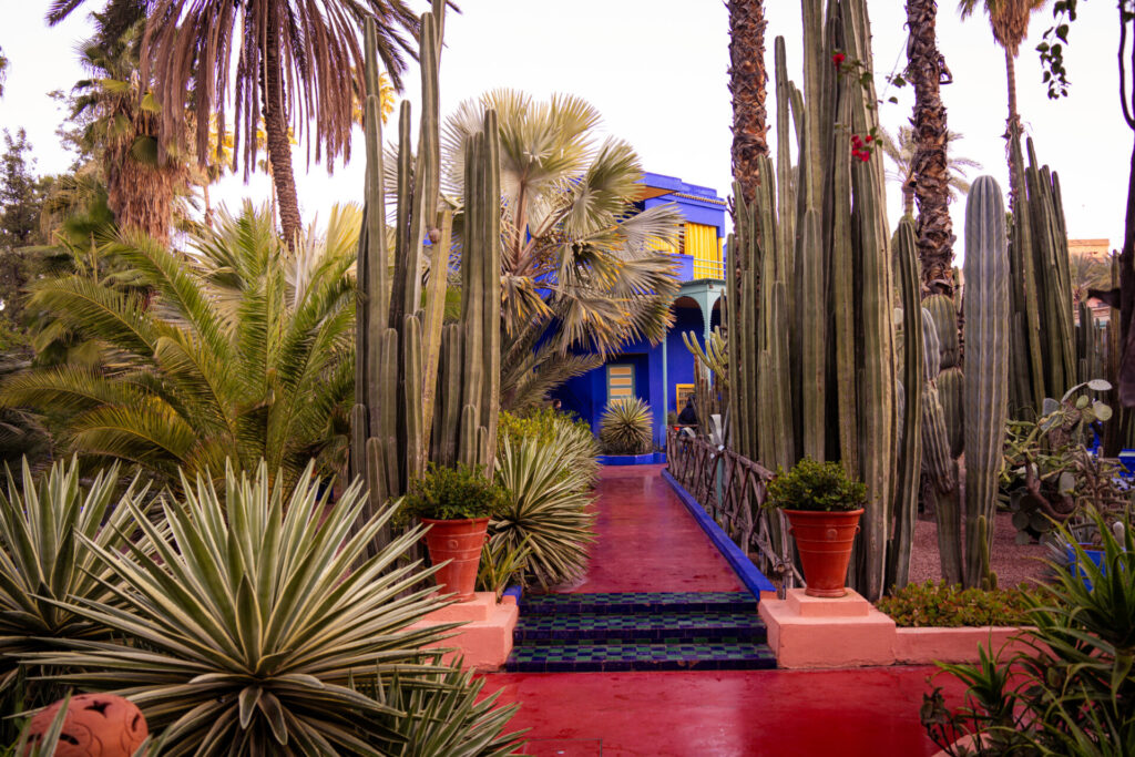 Cyrille Ardaud Est en Ouest blog voyage organisation maroc marrakech agafay desert semaine vacances voyage week end voir ()