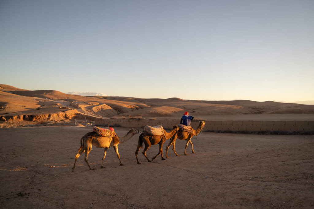 Cyrille Ardaud Est en Ouest blog voyage organisation maroc marrakech agafay desert semaine vacances voyage week end voir ()
