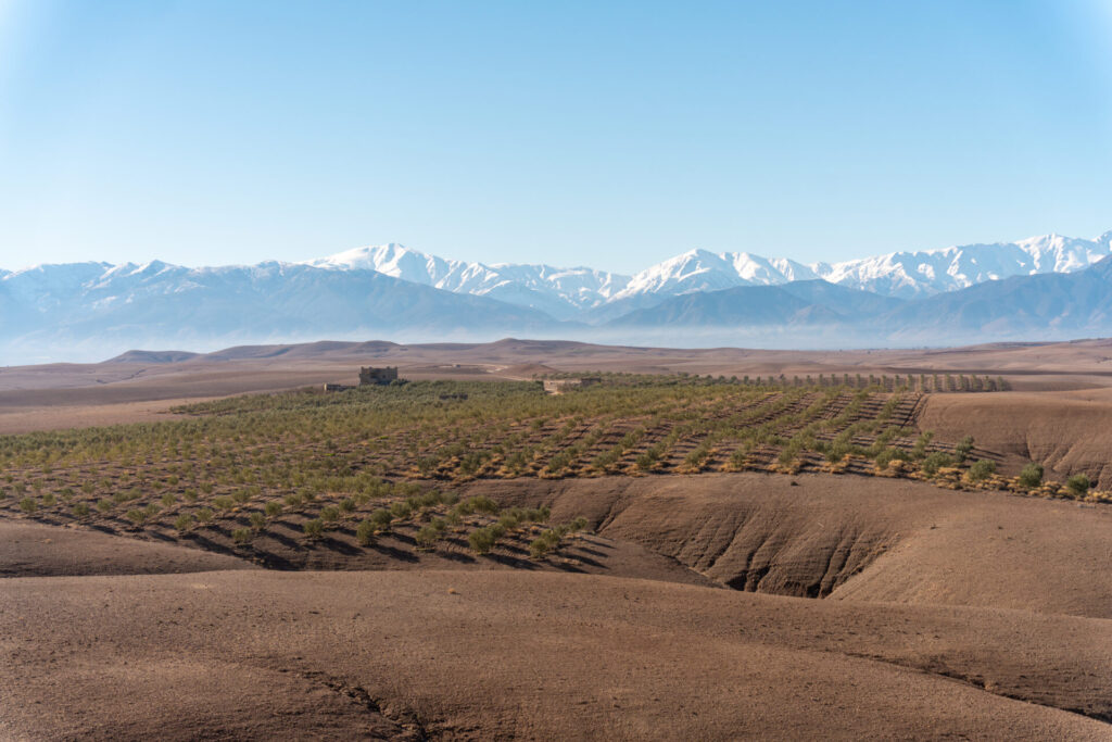 Cyrille Ardaud Est en Ouest blog voyage organisation maroc marrakech agafay desert semaine vacances voyage week end voir ()