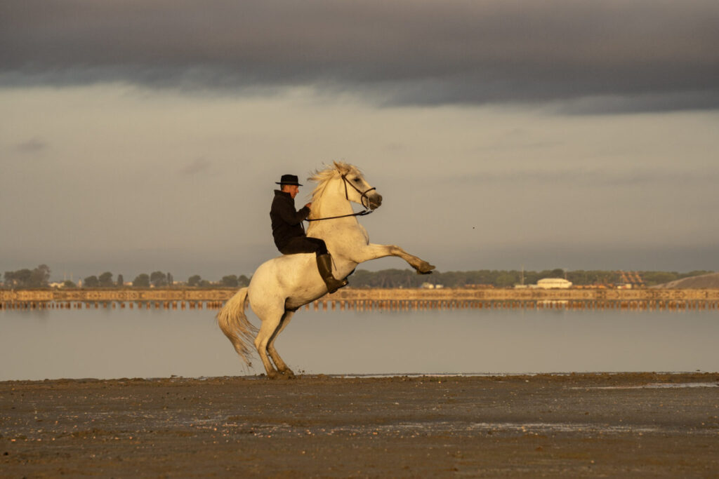 Est en Ouest Cyrille Ardaud photographe camargue chevaux camarguais où voir week end manade gardian mer marais salins galop lever soleil coucher soleil technique france ()
