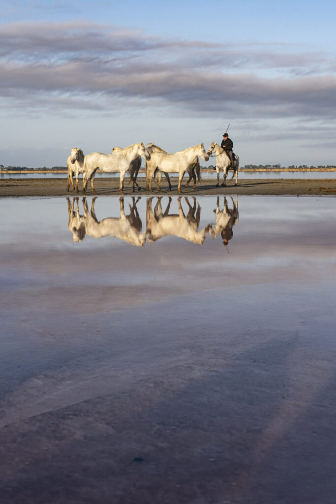 Est en Ouest Cyrille Ardaud photographe camargue chevaux camarguais où voir week end manade gardian mer marais salins galop lever soleil coucher soleil technique france ()