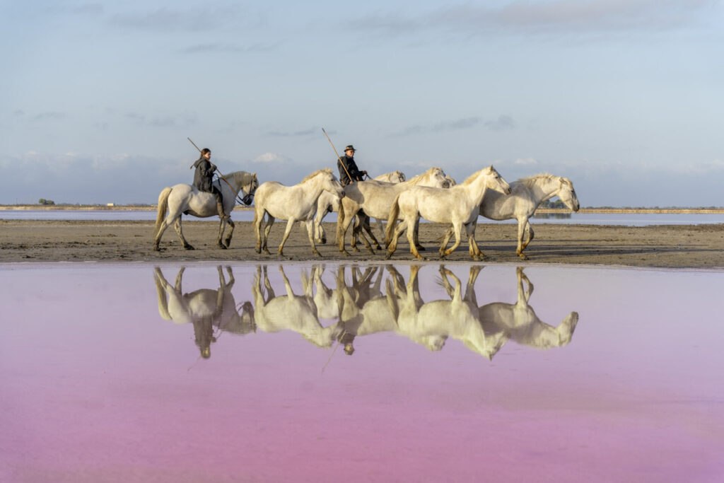 Est en Ouest Cyrille Ardaud photographe camargue chevaux camarguais où voir week end manade gardian mer marais salins galop lever soleil coucher soleil technique france ()