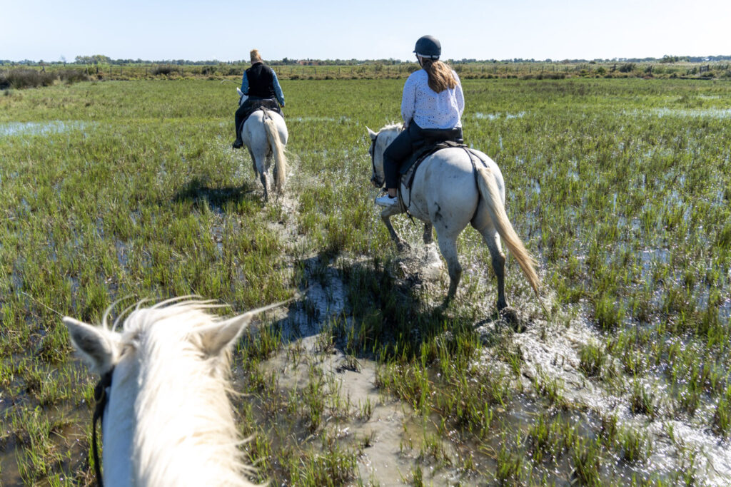 Est en Ouest Cyrille Ardaud photographe camargue chevaux camarguais où voir week end manade gardian mer marais salins galop lever soleil coucher soleil technique france ()
