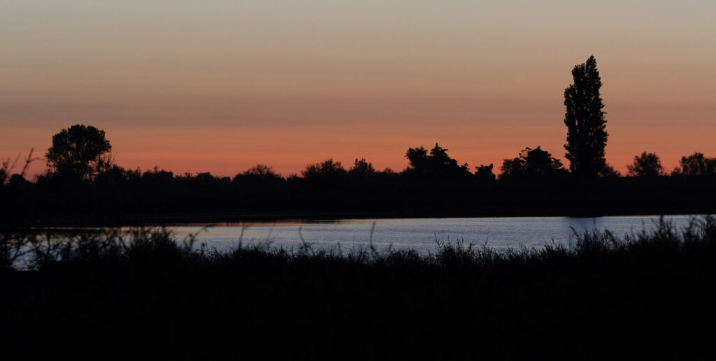 Est en Ouest Cyrille Ardaud photographe camargue chevaux camarguais où voir week end manade gardian mer marais salins galop lever soleil coucher soleil technique france ()