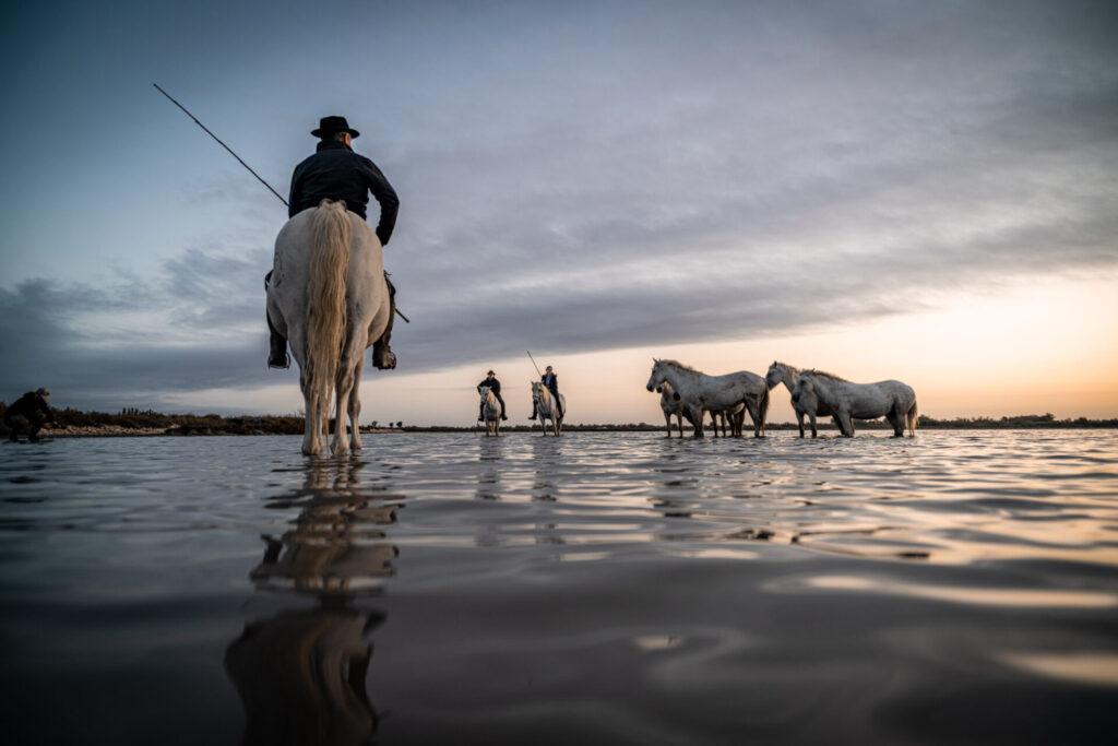 Est en Ouest Cyrille Ardaud photographe camargue chevaux camarguais où voir week end manade gardian mer marais salins galop lever soleil coucher soleil technique france ()