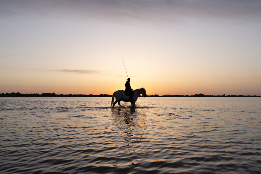Est en Ouest Cyrille Ardaud photographe camargue chevaux camarguais où voir week end manade gardian mer marais salins galop lever soleil coucher soleil technique france ()