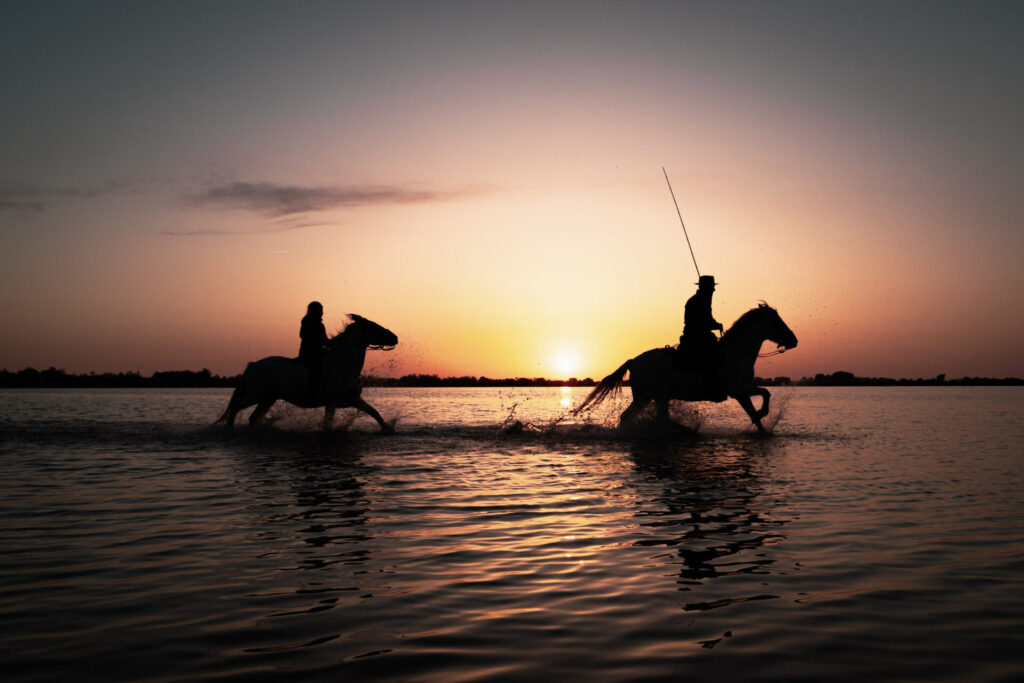 Est en Ouest Cyrille Ardaud photographe camargue chevaux camarguais où voir week end manade gardian mer marais salins galop lever soleil coucher soleil technique france ()