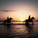 Camargue